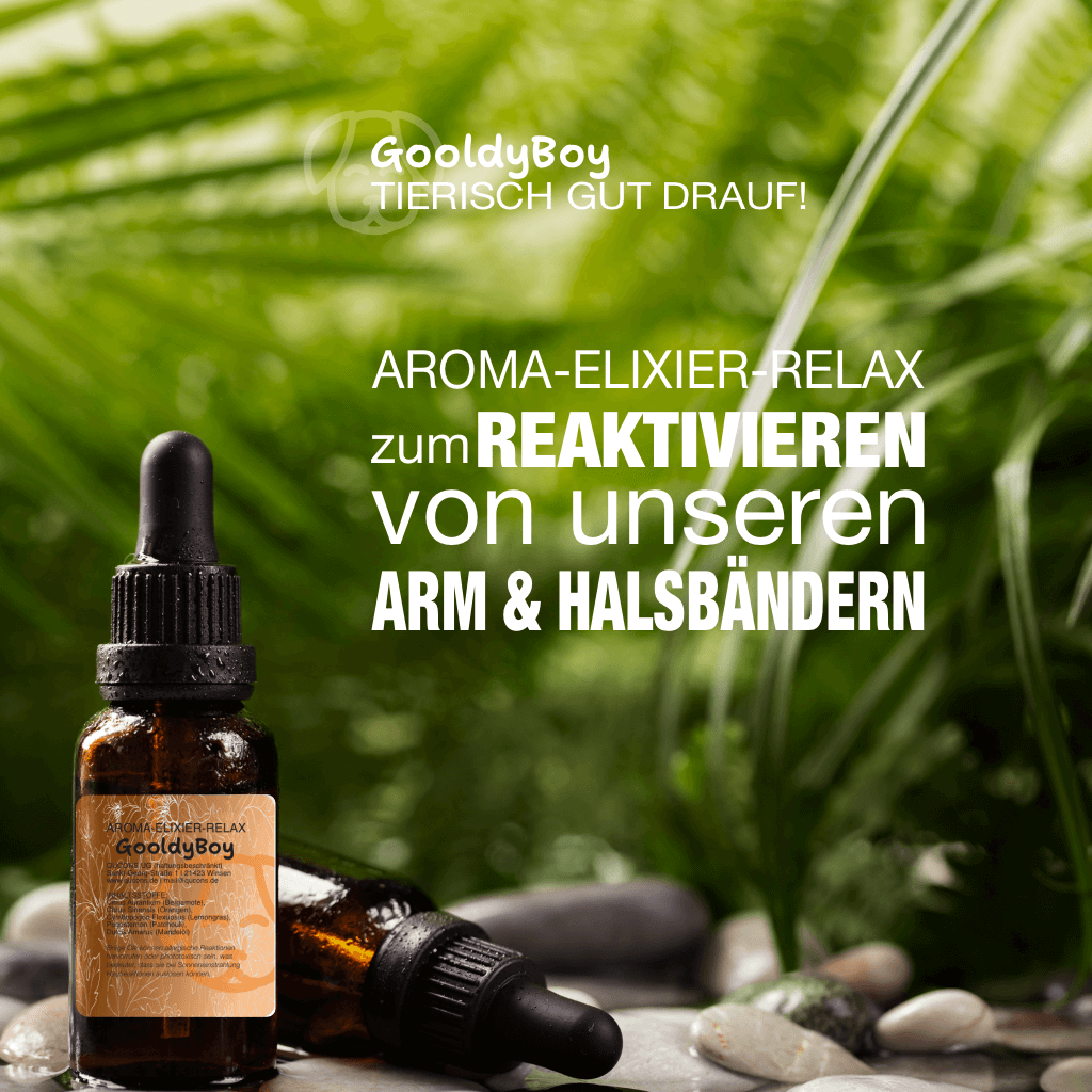 AROMA-ELIXIER-RELAX 3ml zum Reaktivieren für SMOLIES & WELLBYS