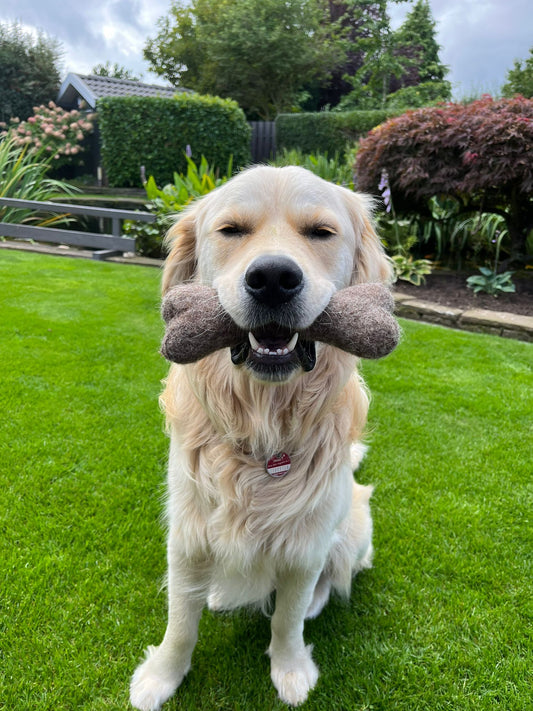 Hunde-Spielzeug Filz Wollknochen 100% Natur