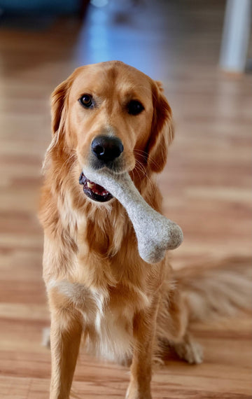 Hunde-Spielzeug Filz Wollknochen 100% Natur