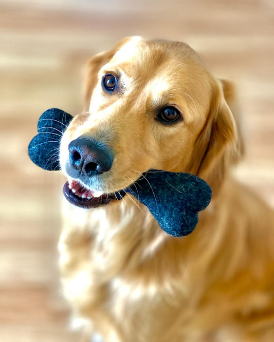 Hunde-Spielzeug  Filz Wollknochen 3er Set